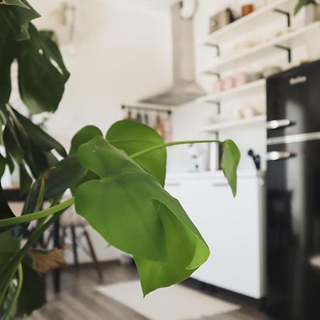 Urban Jungle Apartment - Free Parking Ljubljana Eksteriør bilde