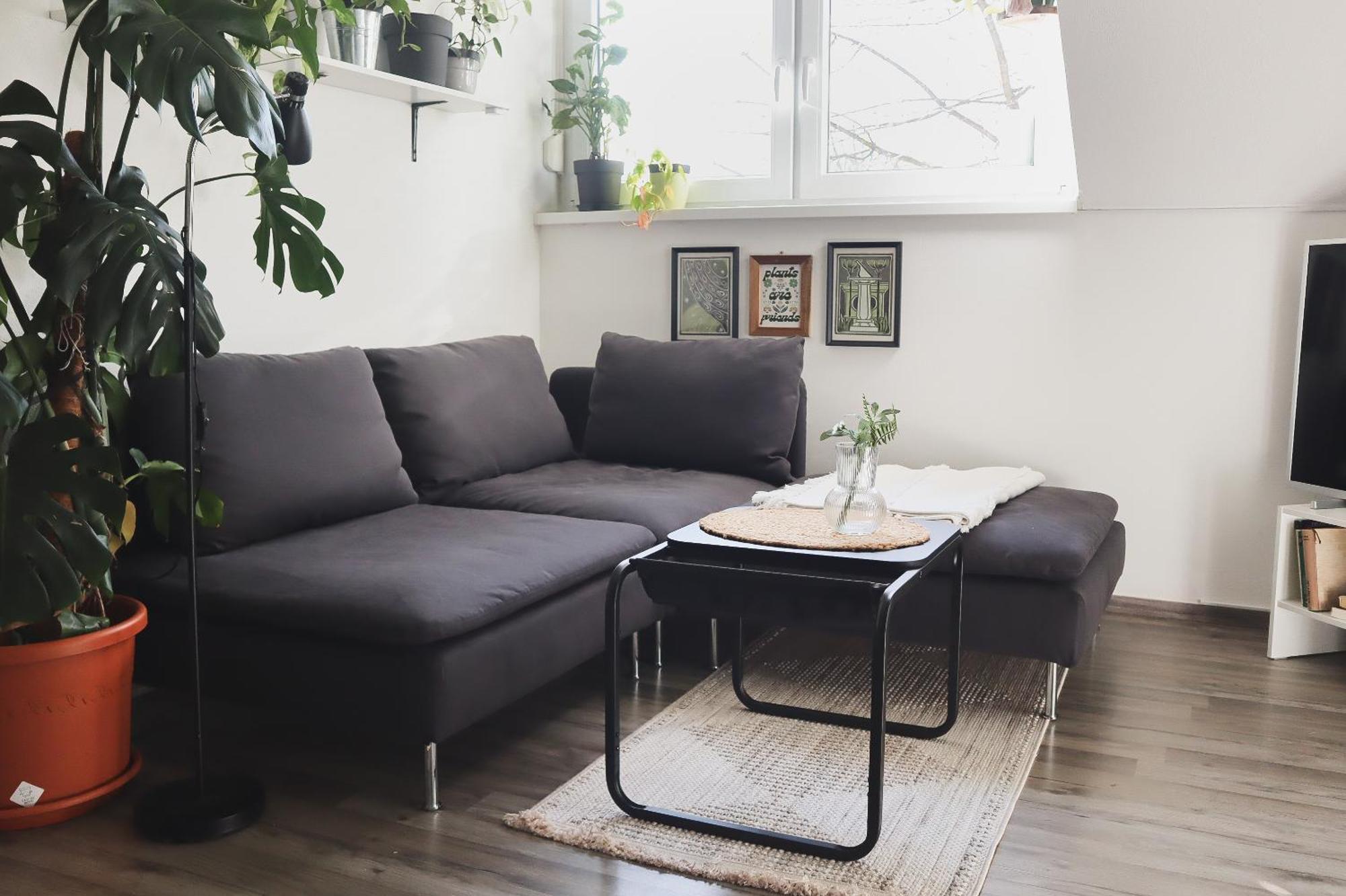 Urban Jungle Apartment - Free Parking Ljubljana Eksteriør bilde