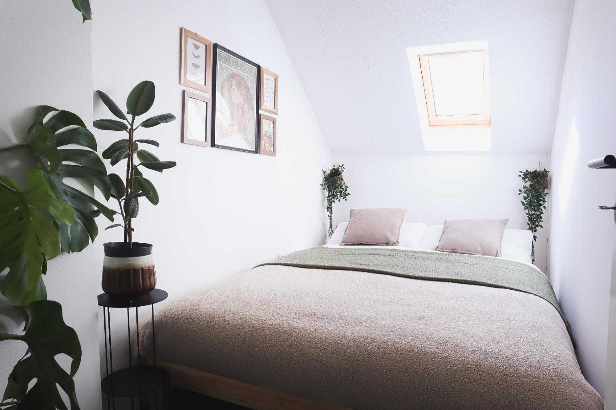 Urban Jungle Apartment - Free Parking Ljubljana Eksteriør bilde